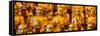 China 10MKm2 Collection - Gold Buddhist Statue in Longhua Temple-Philippe Hugonnard-Framed Stretched Canvas