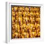 China 10MKm2 Collection - Gold Buddhist Statue in Longhua Temple-Philippe Hugonnard-Framed Photographic Print