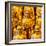 China 10MKm2 Collection - Gold Buddhist Statue in Longhua Temple-Philippe Hugonnard-Framed Photographic Print