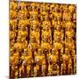 China 10MKm2 Collection - Gold Buddhist Statue in Longhua Temple-Philippe Hugonnard-Mounted Photographic Print