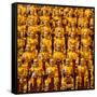 China 10MKm2 Collection - Gold Buddhist Statue in Longhua Temple-Philippe Hugonnard-Framed Stretched Canvas