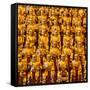 China 10MKm2 Collection - Gold Buddhist Statue in Longhua Temple-Philippe Hugonnard-Framed Stretched Canvas