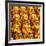 China 10MKm2 Collection - Gold Buddhist Statue in Longhua Temple-Philippe Hugonnard-Framed Photographic Print