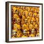 China 10MKm2 Collection - Gold Buddhist Statue in Longhua Temple-Philippe Hugonnard-Framed Photographic Print