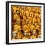 China 10MKm2 Collection - Gold Buddhist Statue in Longhua Temple-Philippe Hugonnard-Framed Photographic Print