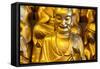 China 10MKm2 Collection - Gold Buddhist Statues in Longhua Temple-Philippe Hugonnard-Framed Stretched Canvas