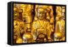 China 10MKm2 Collection - Gold Buddhist Statues in Longhua Temple-Philippe Hugonnard-Framed Stretched Canvas