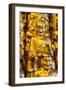 China 10MKm2 Collection - Gold Buddhist Statues in Longhua Temple-Philippe Hugonnard-Framed Photographic Print