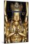 China 10MKm2 Collection - Golden Buddha-Philippe Hugonnard-Mounted Photographic Print