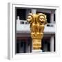 China 10MKm2 Collection - Golden Chinese Lion Statue Jing An Temple - Shanghai-Philippe Hugonnard-Framed Photographic Print