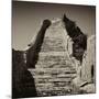 China 10MKm2 Collection - Great Wall of China-Philippe Hugonnard-Mounted Photographic Print