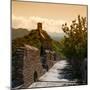 China 10MKm2 Collection - Great Wall of China-Philippe Hugonnard-Mounted Photographic Print