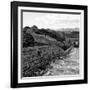 China 10MKm2 Collection - Great Wall of China-Philippe Hugonnard-Framed Photographic Print