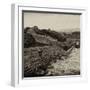 China 10MKm2 Collection - Great Wall of China-Philippe Hugonnard-Framed Photographic Print