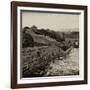 China 10MKm2 Collection - Great Wall of China-Philippe Hugonnard-Framed Photographic Print