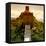 China 10MKm2 Collection - Great Wall of China-Philippe Hugonnard-Framed Stretched Canvas