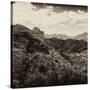 China 10MKm2 Collection - Great Wall of China-Philippe Hugonnard-Stretched Canvas