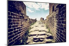 China 10MKm2 Collection - Great Wall of China-Philippe Hugonnard-Mounted Photographic Print