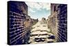 China 10MKm2 Collection - Great Wall of China-Philippe Hugonnard-Stretched Canvas