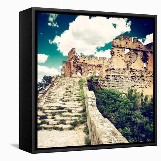 China 10MKm2 Collection - Great Wall of China-Philippe Hugonnard-Framed Stretched Canvas