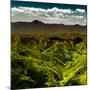 China 10MKm2 Collection - Great Wall of China-Philippe Hugonnard-Mounted Photographic Print