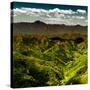 China 10MKm2 Collection - Great Wall of China-Philippe Hugonnard-Stretched Canvas