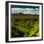 China 10MKm2 Collection - Great Wall of China-Philippe Hugonnard-Framed Photographic Print