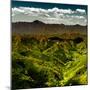 China 10MKm2 Collection - Great Wall of China-Philippe Hugonnard-Mounted Photographic Print