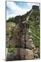 China 10MKm2 Collection - Great Wall of China-Philippe Hugonnard-Mounted Photographic Print