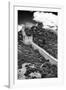 China 10MKm2 Collection - Great Wall of China-Philippe Hugonnard-Framed Photographic Print