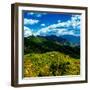 China 10MKm2 Collection - Great Wall of China-Philippe Hugonnard-Framed Photographic Print