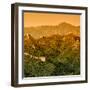 China 10MKm2 Collection - Great Wall of China-Philippe Hugonnard-Framed Photographic Print