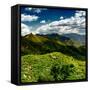 China 10MKm2 Collection - Great Wall of China-Philippe Hugonnard-Framed Stretched Canvas