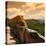 China 10MKm2 Collection - Great Wall of China-Philippe Hugonnard-Stretched Canvas