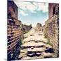 China 10MKm2 Collection - Great Wall of China-Philippe Hugonnard-Mounted Photographic Print