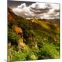 China 10MKm2 Collection - Great Wall of China-Philippe Hugonnard-Mounted Photographic Print