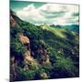 China 10MKm2 Collection - Great Wall of China-Philippe Hugonnard-Mounted Photographic Print