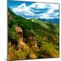 China 10MKm2 Collection - Great Wall of China-Philippe Hugonnard-Mounted Photographic Print