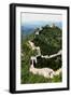 China 10MKm2 Collection - Great Wall of China-Philippe Hugonnard-Framed Photographic Print