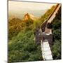 China 10MKm2 Collection - Great Wall of China-Philippe Hugonnard-Mounted Photographic Print