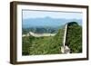 China 10MKm2 Collection - Great Wall of China-Philippe Hugonnard-Framed Photographic Print