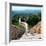 China 10MKm2 Collection - Great Wall of China-Philippe Hugonnard-Framed Photographic Print