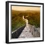 China 10MKm2 Collection - Great Wall of China-Philippe Hugonnard-Framed Photographic Print