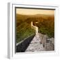 China 10MKm2 Collection - Great Wall of China-Philippe Hugonnard-Framed Photographic Print