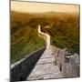 China 10MKm2 Collection - Great Wall of China-Philippe Hugonnard-Mounted Photographic Print