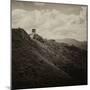 China 10MKm2 Collection - Great Wall of China-Philippe Hugonnard-Mounted Photographic Print