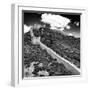 China 10MKm2 Collection - Great Wall of China-Philippe Hugonnard-Framed Photographic Print