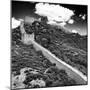 China 10MKm2 Collection - Great Wall of China-Philippe Hugonnard-Mounted Photographic Print