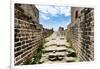 China 10MKm2 Collection - Great Wall of China-Philippe Hugonnard-Framed Photographic Print