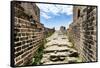 China 10MKm2 Collection - Great Wall of China-Philippe Hugonnard-Framed Stretched Canvas